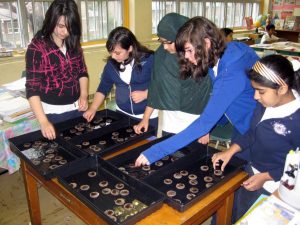 High school students viewing seeds