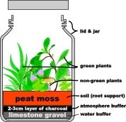 Simulated Martian Greenhouse