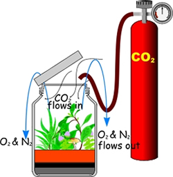 Using compressed CO2