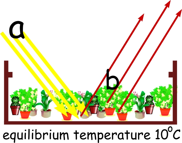 Greenhouse - Glass top removed