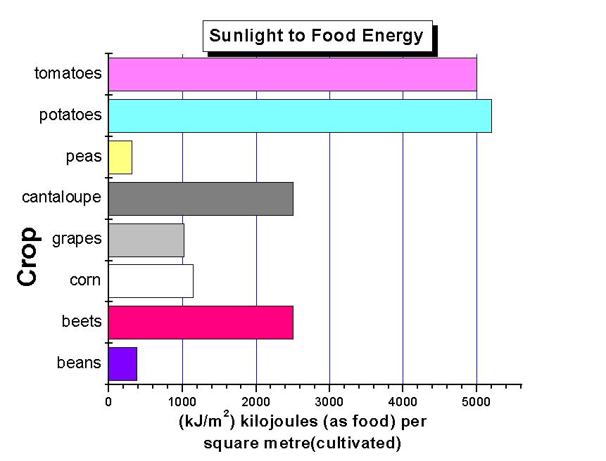 Sunlight to Food Energy