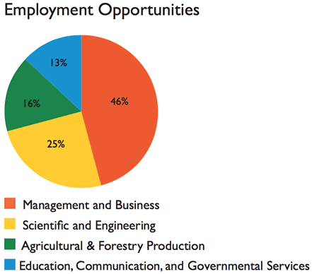employment-opportunities-pie-chart