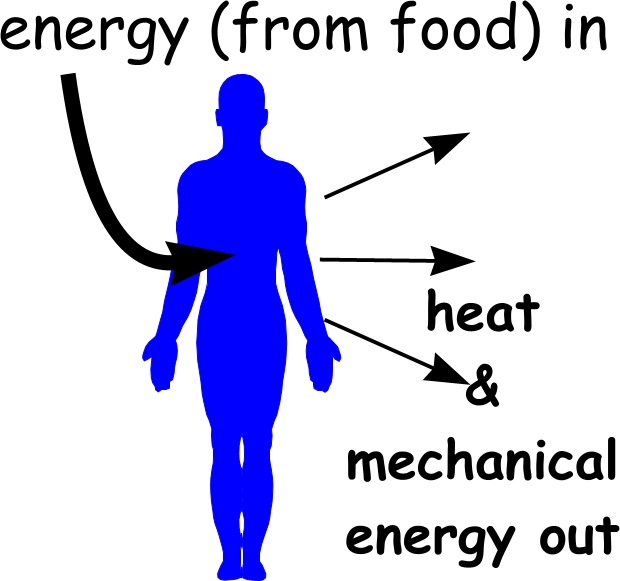 Energy balancing act