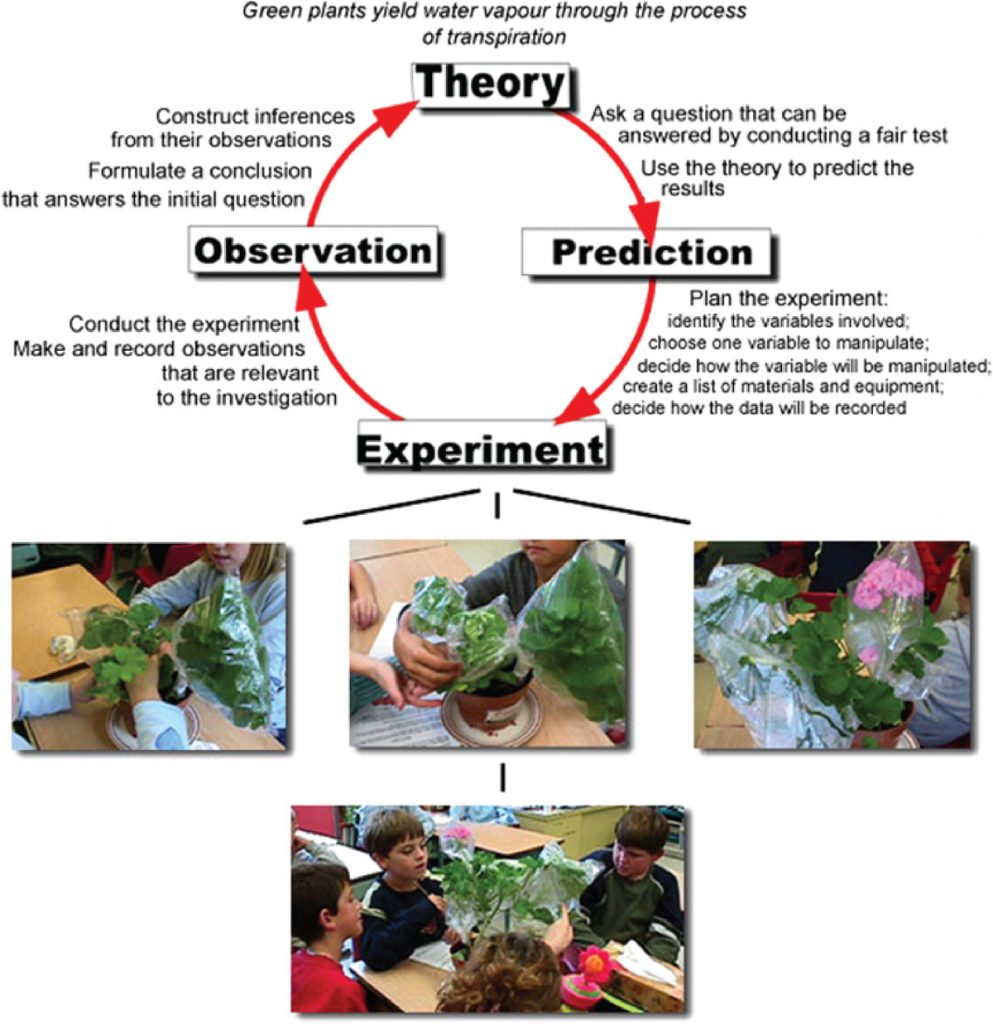 implementing an investigation