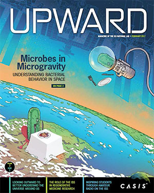 Upward volume 2, issue 1 cover