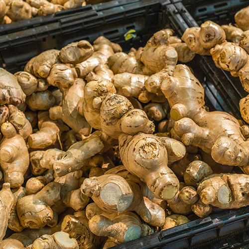 Ginger Root for Sale