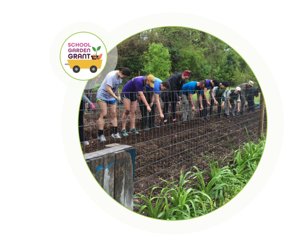 School Garden Grant First the Seed Foundation