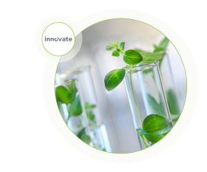 Innovate logo and plants in test tubes